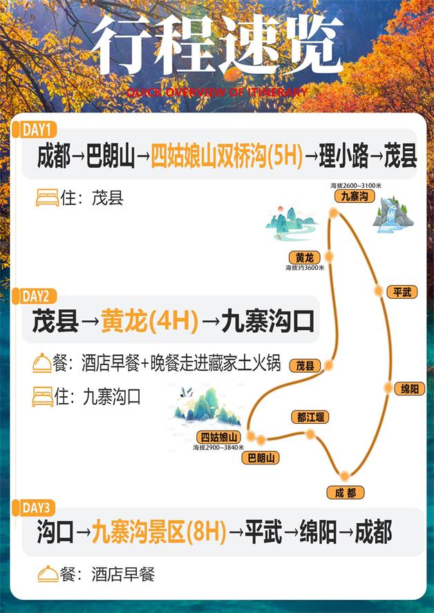 九黄四8人1